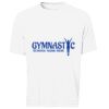 PRO TEAM SHORT SLEEVE TEE / T-SHIRT À MANCHES COURTES PRO TEAM Thumbnail